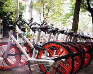 摩拜早期投資人劉二海：當(dāng)你足夠強大，自不必與巨頭為伍